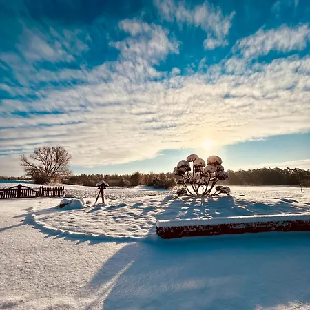 Galerie-studio Im Gruenen Mit Fruehstueck Im Reindahls Lejlighed *