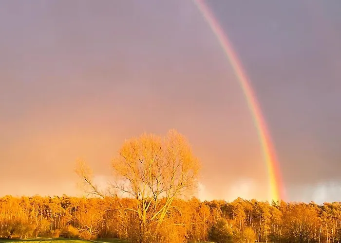 Appartamento Galerie-studio Im Gruenen Mit Fruehstueck Im Reindahls Wilkendorf