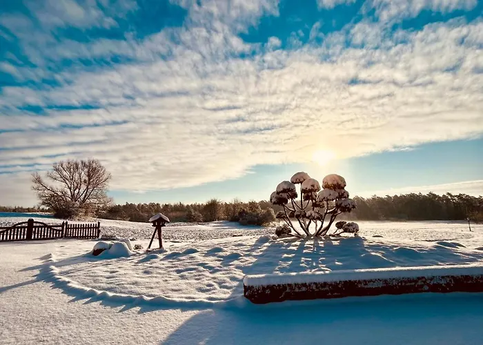 Galerie-studio Im Gruenen Mit Fruehstueck Im Reindahls Appartamento *